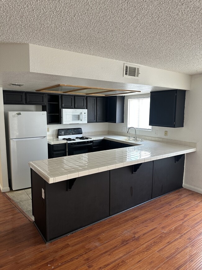 9521 Sunken Reef Cir in Las Vegas, NV - Building Photo - Building Photo