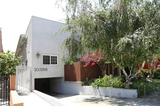 10388 Almayo Ave in Los Angeles, CA - Building Photo - Building Photo