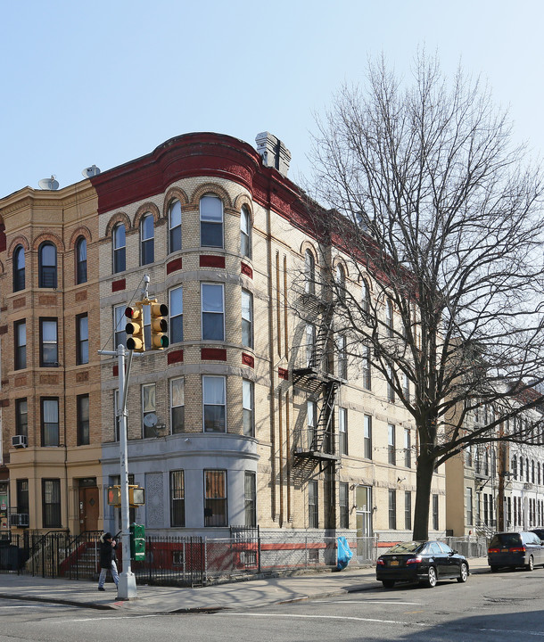 523 Throop Ave in Brooklyn, NY - Building Photo