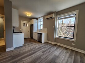 3931 N Janssen Ave, Unit 3 in Chicago, IL - Building Photo