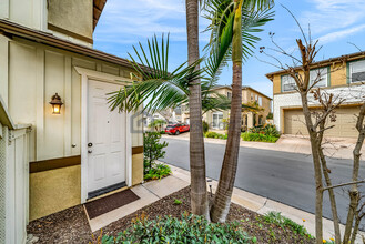 3170 Levante St in Carlsbad, CA - Foto de edificio - Building Photo