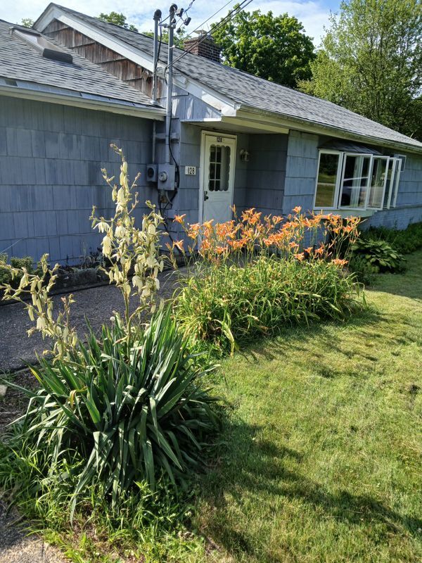 property at 128 White Pond Rd