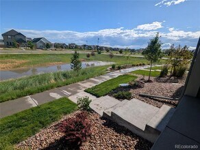 6109 Zebulon Pl in Timnath, CO - Building Photo - Building Photo