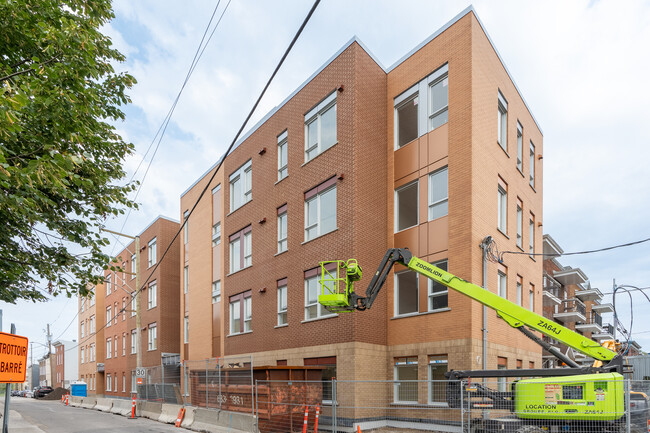 381 Saint-Benoît Rue in Québec, QC - Building Photo - Building Photo