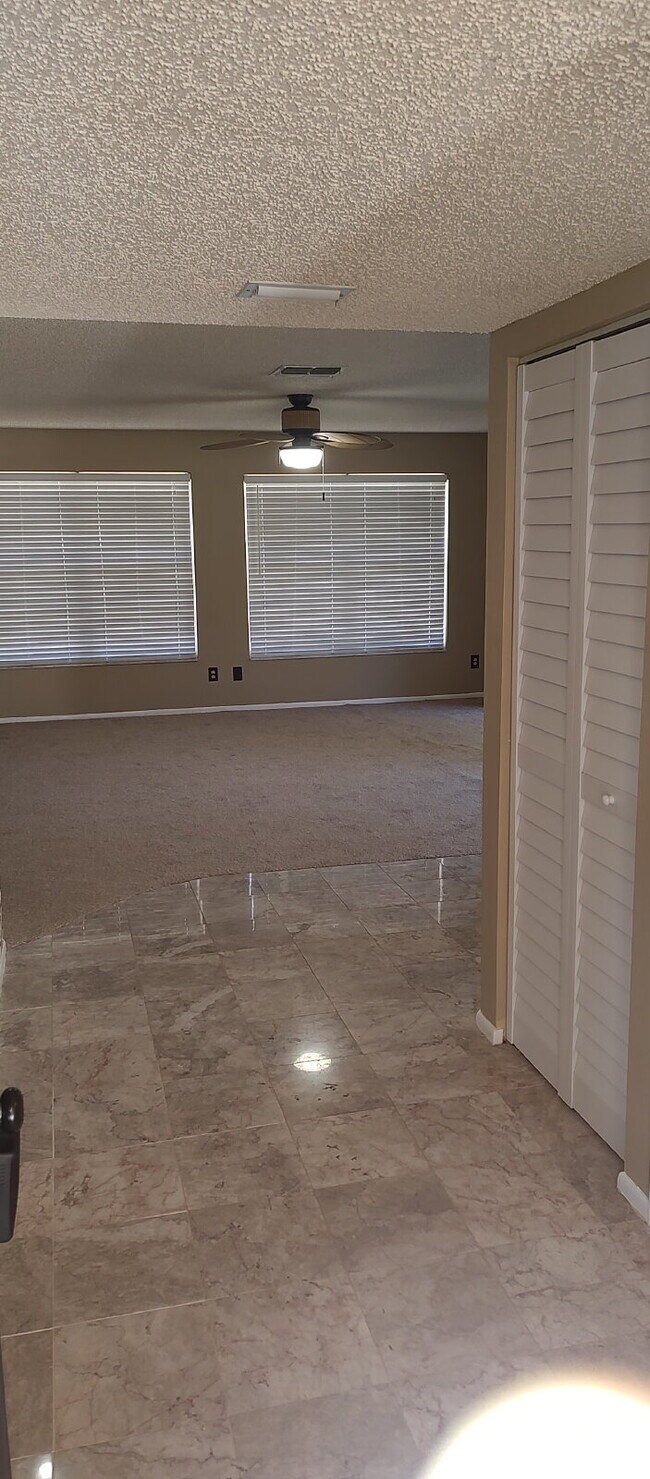 420 N Bayshore Blvd in Clearwater, FL - Building Photo - Building Photo