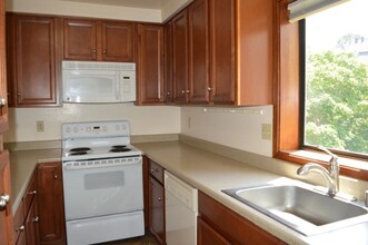 172 Cypress Pl in Sausalito, CA - Building Photo - Building Photo