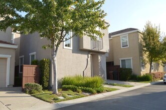 8881 Imray Way in Elk Grove, CA - Building Photo - Building Photo