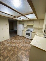 519 E Curlew Pl in Tarpon Springs, FL - Building Photo