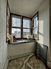 194 W Springfield St, Unit 4 in Boston, MA - Building Photo - Building Photo