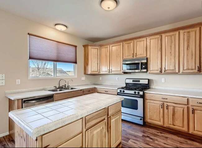 11884 Swansea Dr in Parker, CO - Building Photo - Building Photo