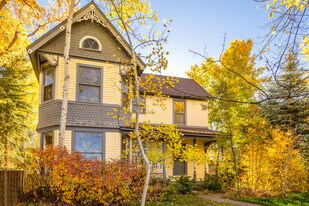 212 N Monarch St in Aspen, CO - Building Photo