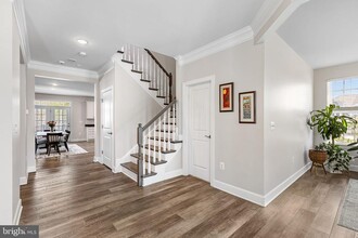 525 Foxglove Way in Stafford, VA - Foto de edificio - Building Photo