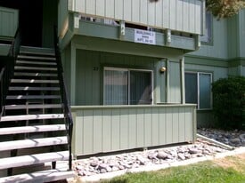 3905 Clear Acre Ln in Reno, NV - Building Photo