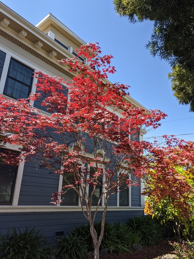 property at 601 63rd St