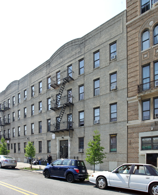 29 Putnam Ave in Brooklyn, NY - Building Photo - Building Photo