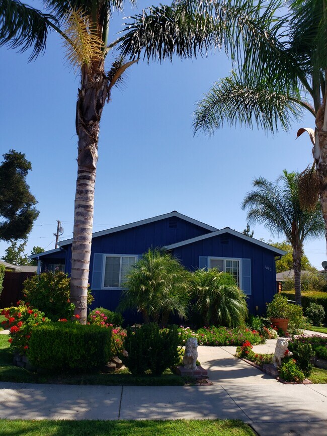 7854 Rosanna St Rentals in Gilroy, CA