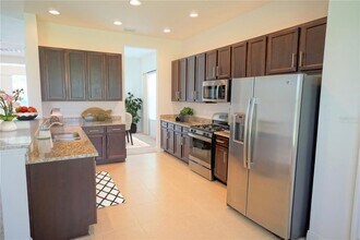 30835 Spruceberry Ct in Zephyrhills, FL - Building Photo - Building Photo
