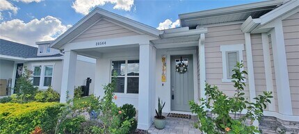 28564 Sweet Persimmon Dr in Wesley Chapel, FL - Foto de edificio - Building Photo