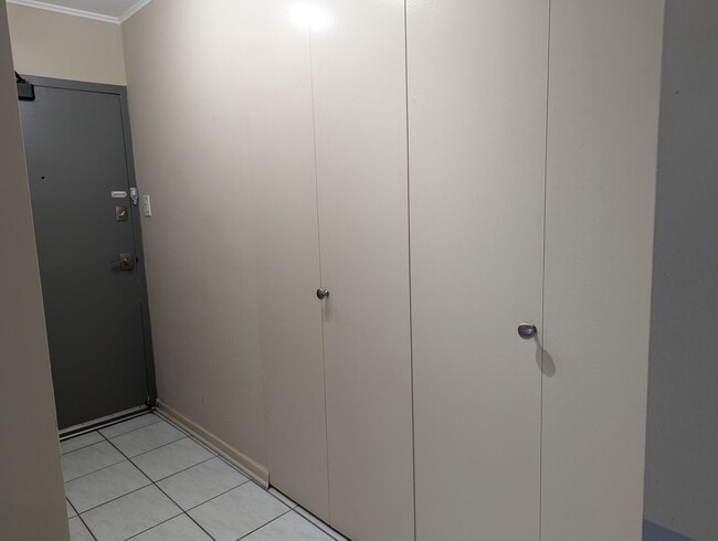 247 E Chestnut St in Chicago, IL - Building Photo - Building Photo