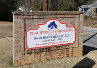 Peachtree Apartments in Auburn, AL - Foto de edificio - Building Photo