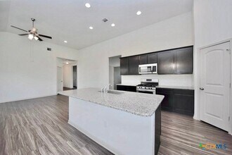 16829 Aventura Ave in Pflugerville, TX - Building Photo - Building Photo