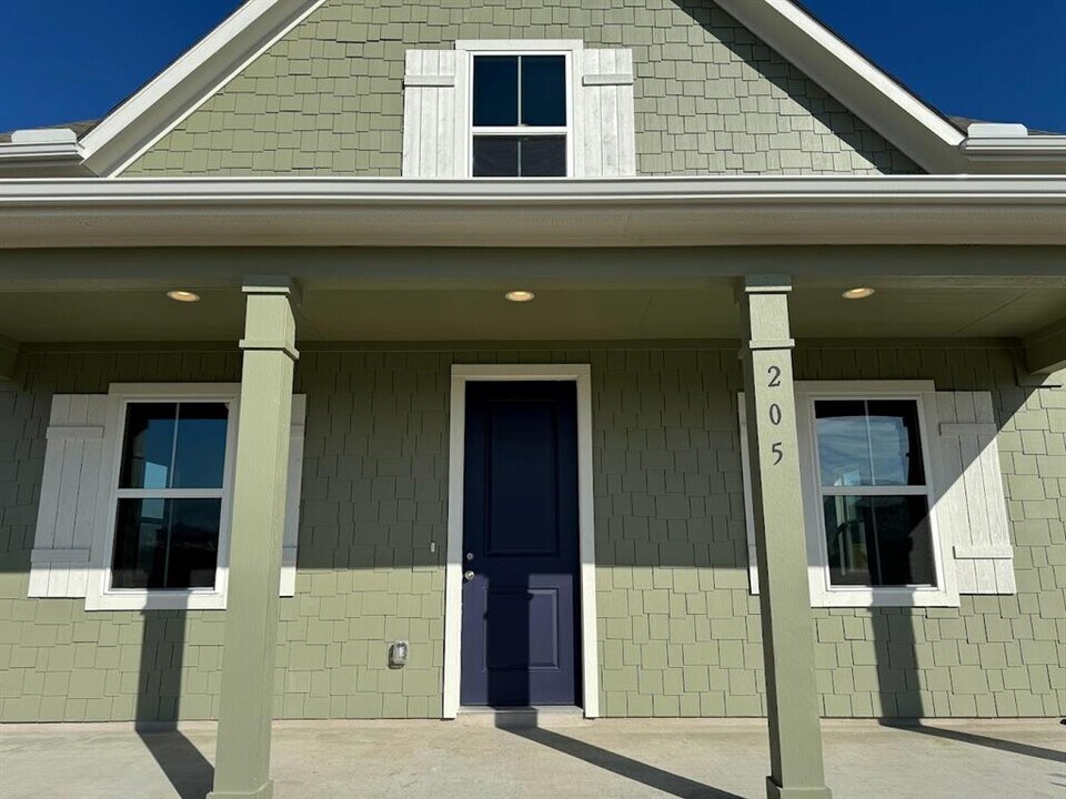 205 Elm Br Trl in Taylor, TX - Building Photo