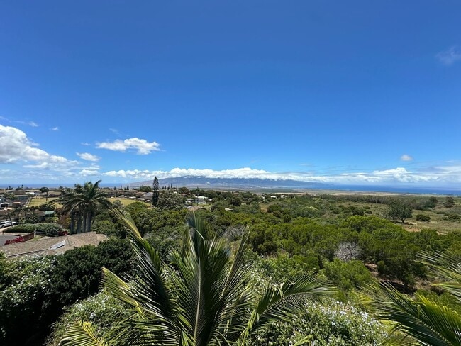 property at 55 Piimauna St
