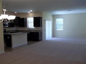 20014 Date Palm Way in Tampa, FL - Building Photo - Building Photo