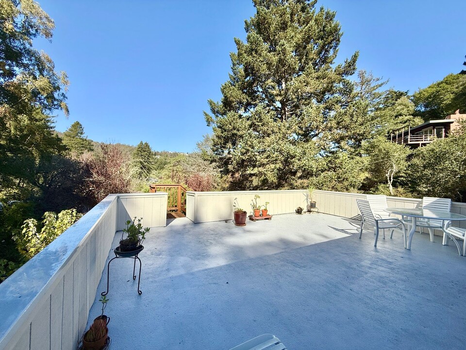 504 Barone Ln-Unit -504 Barone in Mill Valley, CA - Building Photo