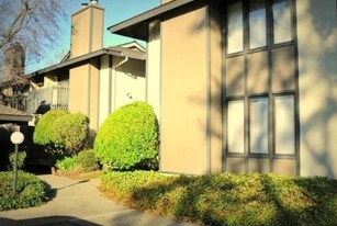 Marquee at Diablo Pines Apartments