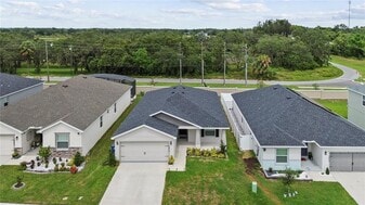 1017 Mountain Flower Ln in Davenport, FL - Building Photo
