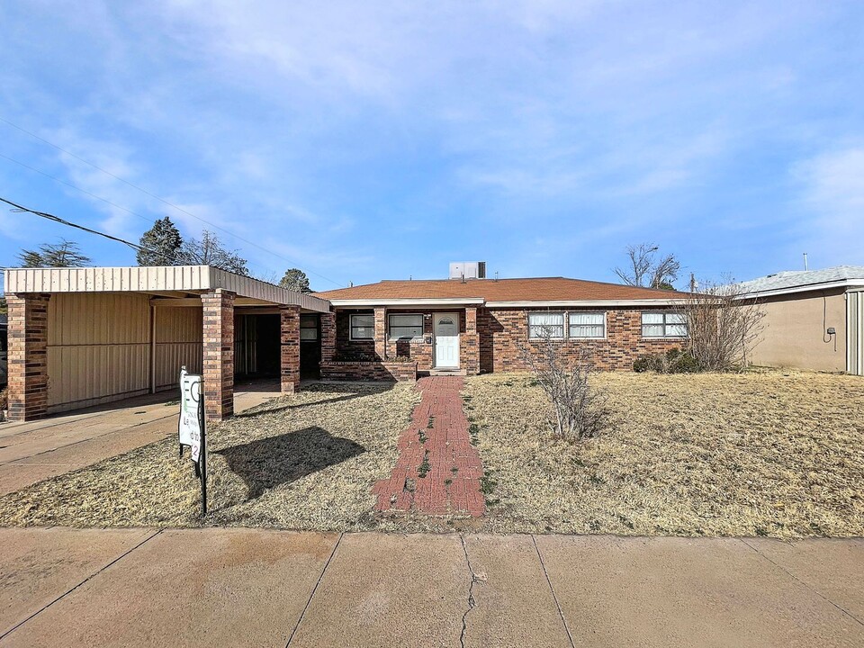 1100 E Llano Dr in Hobbs, NM - Building Photo