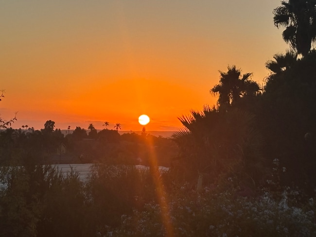 property at 315 Osborne St