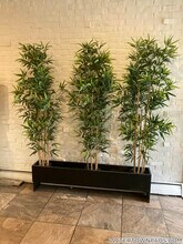 16 Whites Ave, Unit 45 in Watertown, MA - Foto de edificio - Building Photo