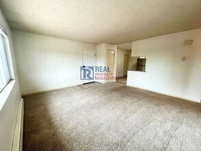 2028 Friendship Pl in Colorado Springs, CO - Building Photo - Building Photo