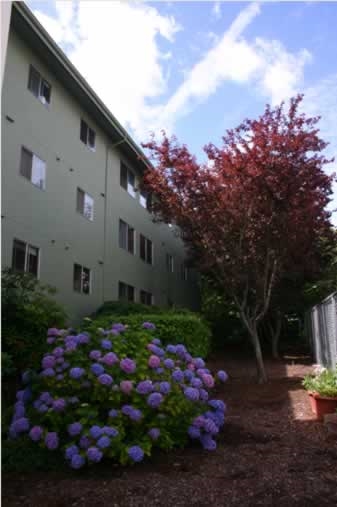 Catherine May in Bellingham, WA - Building Photo