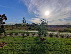 5389 Elmview Xing in Wesley Chapel, FL - Building Photo - Building Photo