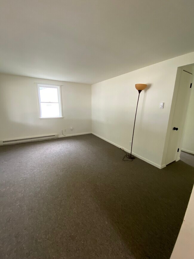 126 Michigan Ave in Plainwell, MI - Building Photo - Building Photo