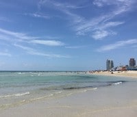 Apartments in Coral Gables, FL