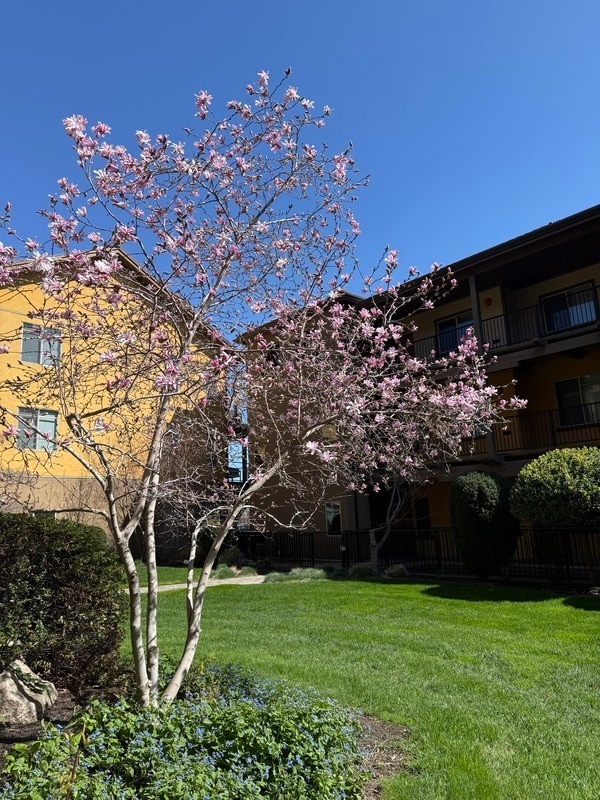 property at 4026 Pritchard Dr N