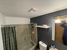 743 W College Ave in Appleton, WI - Building Photo