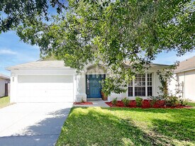 13136 Early Run Ln in Riverview, FL - Building Photo