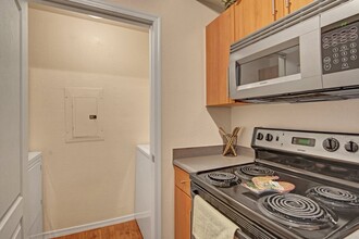 Acclaim in Phoenix, AZ - Building Photo - Building Photo