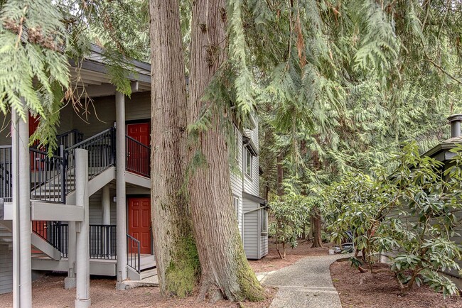 14605 NE 81st St in Redmond, WA - Building Photo - Building Photo
