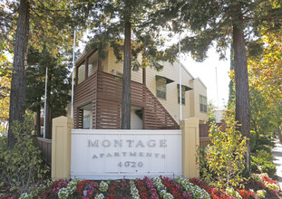 Montage Apartments Palo Alto Ca Apartments