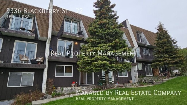 property at 9336 Blackberry St
