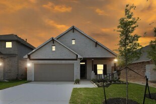 217 Catalina Cove Dr in Katy, TX - Building Photo