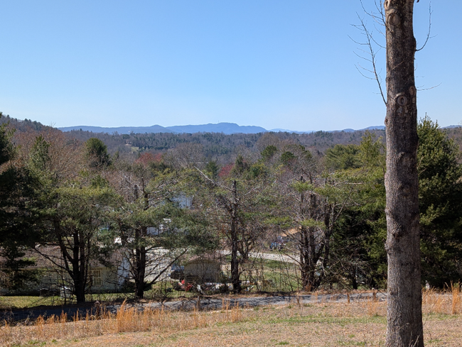 403 Union Hill Rd in Hendersonville, NC - Building Photo - Building Photo