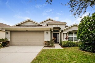 423 Fern Gulley Dr in Seffner, FL - Building Photo