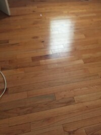 1237 W Allegheny Ave, Unit 1 photo'